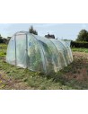 Serres maraîchères pour le jardin 3,7m x 6m | Serres Tonneau