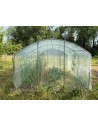 Serre 4 Saisons - fond sans porte - 3m X 4.50M - 1 porte