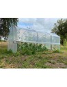 Serre 4 Saisons 4m50 X 3m - 1 porte - Avec aérations latérales ouvertes