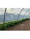 Serre de jardin professionnelle 5.80m x 9m | Serres Tonneau
