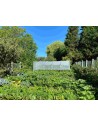 Serre 5ème Saison - longueur 6m - 30m² -
