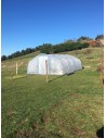 Serre maraîchere à pieds droits 5m x 6m |Serres Tonneau
