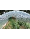 Abri tomates pieds droits 3m00 x 9m00 contre le mildiou