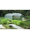 Serre tomates pieds droits 3m00 x 9m00