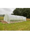 Serre semi pro -  largeur 6m50 - longueur 9m