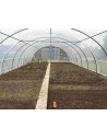 Serre Tonneau Normandie - Largeur 6.50 m - Longueur 13.50 - surface 87.75 m²