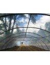 Serre Tonneau Longueur 22.50 m - surface 146.25 m²