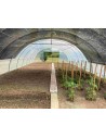Serre Tonneau Normandie - Largeur 6.50 m - Longueur 13.50 - surface 87.75 m²