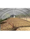 Largeur de serre 6.50 m - Ouverture de porte 3m