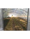 Serre Tonneau Professionnelle surface 146.25 m²