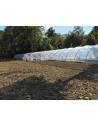 Serres professionnelles tunnels 6,50m x 27m | Serres Tonneau