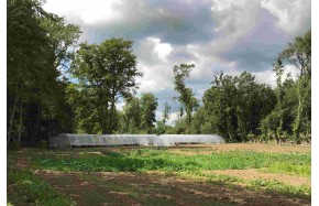 Serres professionnelles tunnels 6,50m x 36m | Serres Tonneau