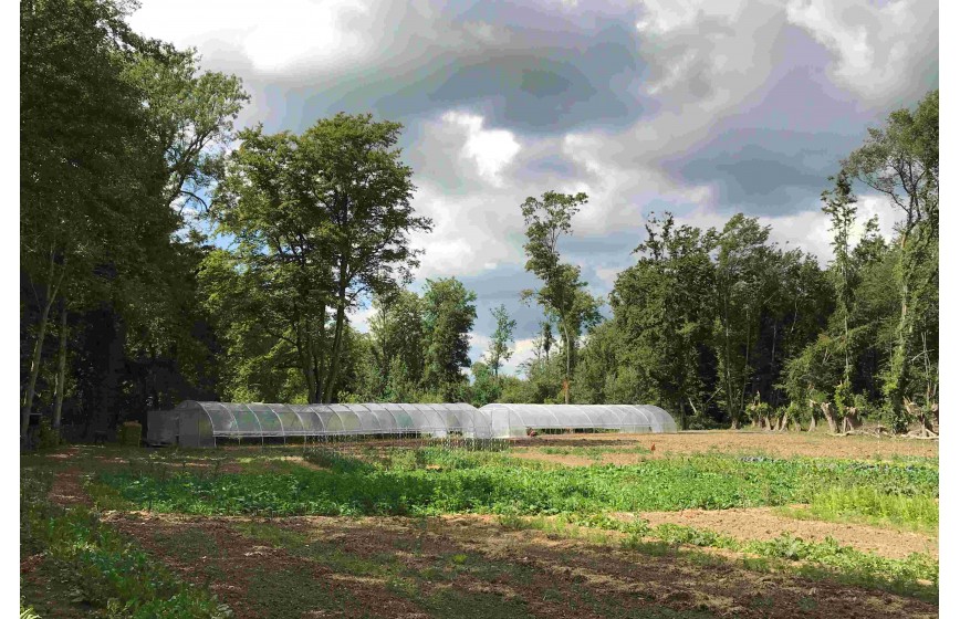 Serres professionnelles tunnels 6,50m x 36m | Serres Tonneau