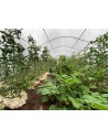 surface 45m²