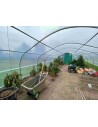 Serre Tonneau - 5 -ème Saison - largeur 5m - surface 45 m² vue intérieure