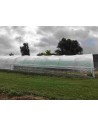 Serre Tonneau - Modèle 5 -ème Saison - Largeur 5m - longueur 12m - surface 60m² - Aérations latérales ouvertes -