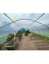 Serre Tonneau - Modèle 5ème Saison -  Largeur 5m - longueur de serre 12m - Surface 60m² -