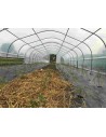 Serre Tonneau - Modèle 5ème Saison -  Largeur 5m - longueur de serre 19.5 m - Surface 97.5 m² -