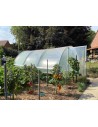 Serre Tonneau - modèle Mini - largeur 3.70 m - longueur 4.5 m - surface 16.65m²