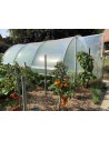 Serre Tonneau - modèle Mini - largeur 3.70 m - ici, longueur 4.5m - surface 16.65m²