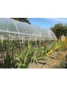 Serre de jardin largeur 3.70 m longueur 10.50 m avec aérations latérales