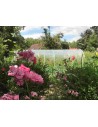 Serre de jardin largeur 3.70 m longueur 10.50 m