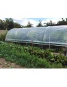 Serre de jardin largeur 3.70 m longueur 10.50 m avec aérations latérales