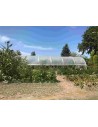 Serre de jardin largeur 3.70 m longueur 10.50 m avec aérations latérales
