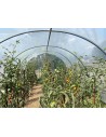 Serre de jardin arrondie 3,7m x x12m - 44,4m²|Serres Tonneau