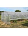 Serre Tonneau - Modèle 4 Saisons - longueur 10.50m - largeur 3m - surface 31.5m²