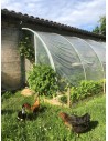 Serre adossée au mur 2m x 12m  surface 24m² | Serres Tonneau
