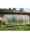 Serre adossée au mur 2m x 12m  surface 24m² | Serres Tonneau