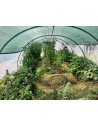 Serre Tonneau lodèle Abri Légumes