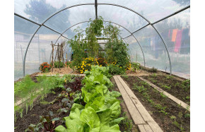 Serre TONNEAU Abri Légumes- largeur 4 m - Bâche enterrée - espace entre les arceaux 2m -