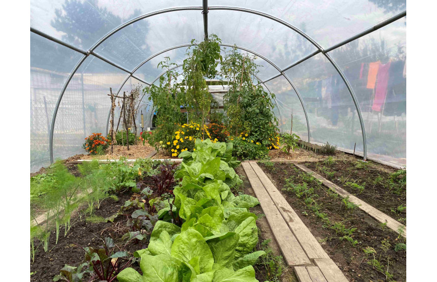 Serre TONNEAU Abri Légumes- largeur 4 m - Bâche enterrée - espace entre les arceaux 2m - Serre TONNEAU Abri Légumes- largeur 4 m - Bâche enterrée - espace entre les arceaux 2m -
