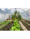 Serre Tonneau - modèle Abri Légumes - Largeur 4m - Bâche enterrée -