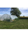 Serre Tonneau Gothique - largeur 4,50m - longueur 7,50m - Serre avec aérations latérales ouvertes -