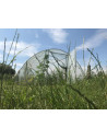 Serre Tonneau  Gothique - largeur 4.50m hauteur 2.30m - largeur de porte 1.35m - longueur 9m -