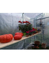 Serre pour hiverner ses plantes