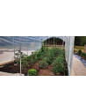 Serre à tomates 3m x 10,5m | Serres Tonneau