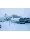 Abri tomates résistant bien aux chutes de neige. Marque Serres Tonneau