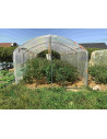 Tomates sous serre largeur 3m surface 36m²