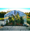Pour la culture des tomates évite le mildiou