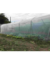 Jardinage sous serre tunnel - abri cultures -Serres Tonneau - longueur 9m- largeur 3m.