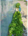 Serre tunnel 3m x 7.5m pieds droits 2 portes |Serres Tonneau