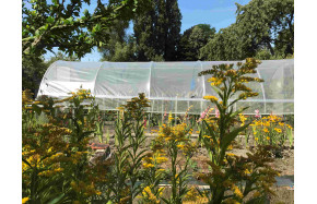 Bâche de toit - serre Mini- largeur 3.70 m - longueur 7,50m - | Serres Tonneau
