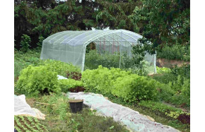 Bâches Abri-tomates pieds droits largeur 3m | Serres Tonneau