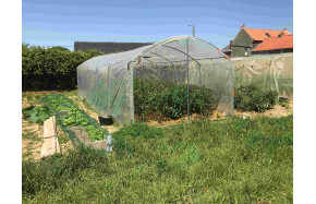 Bâches enterrée Abri-tomates pieds droits largeur 3m longueur 7.50 m | Serres Tonneau