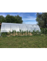 Bâche polyéthylène thermique diffusant, serre Gothique, 4.50m X 7.50m | Serres Tonneau