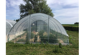 Façade sans porte pour serre Gothique largeur 4.50 m | vue extérieure| Serres Tonneau